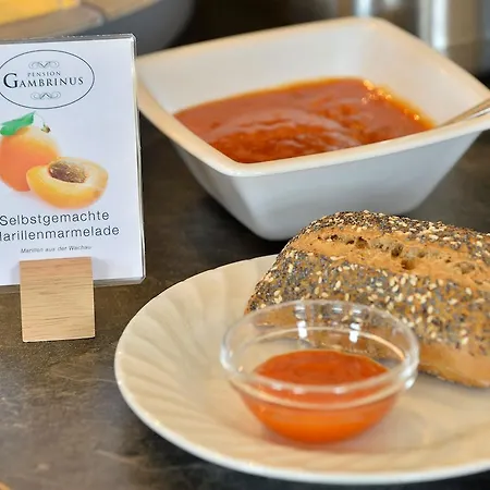 Garni Gambrinus 帕绍