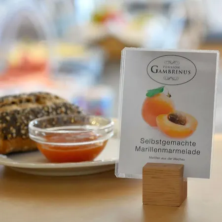 Vendégház Garni Gambrinus