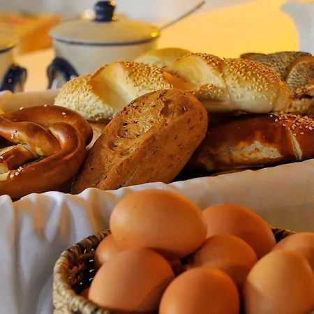 Garni Gambrinus 帕绍