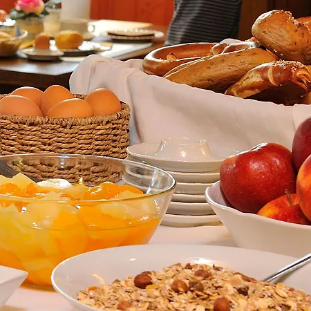 Garni Gambrinus 帕绍