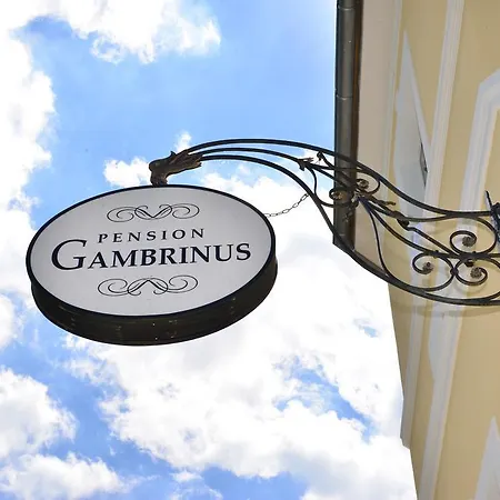 酒店 Garni Gambrinus 3*